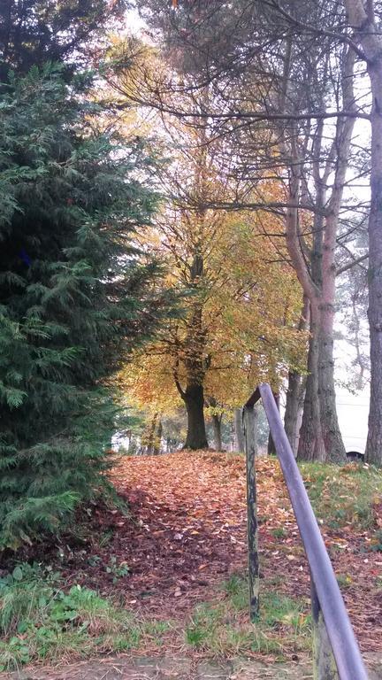 Harrow Inn Lenham Zewnętrze zdjęcie